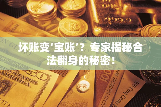 北京坏账变‘宝账’？专家揭秘合法翻身的秘密！