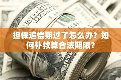北京担保追偿期过了怎么办？如何补救算合法期限？